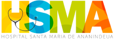 hsma.png